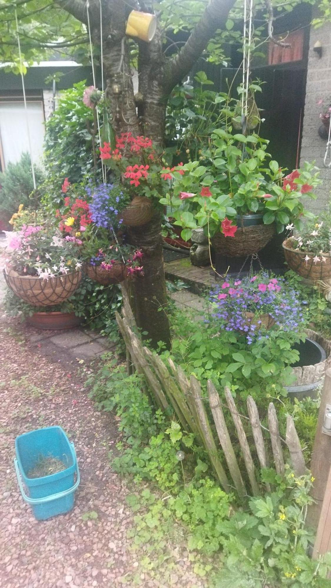 Bed And Breakfast Het Oude Bos Wijnjewoude Exterior foto